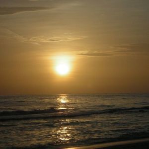 Meet your Posher, Lynne